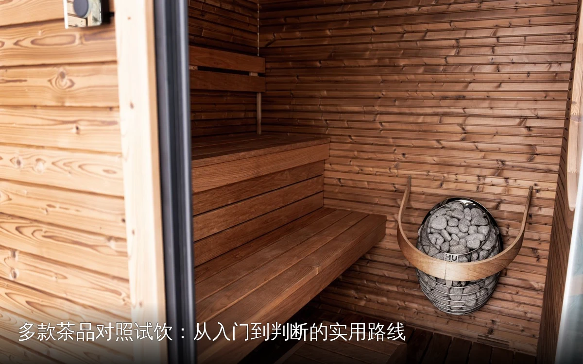 多款茶品对照试饮：从入门到判断的实用路线