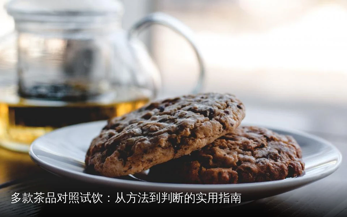 多款茶品对照试饮：从方法到判断的实用指南